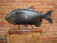 Peixe